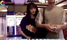 张恒爆料郑爽的视频,视频爆料背后的惊人真相