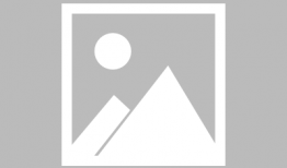 乱世玫瑰全集在线观看,全集在线观看，重温民国风云传奇